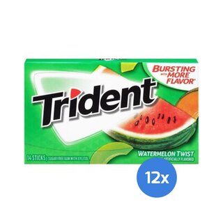 Trident - Watermelon Twist - 12 x 14 Stck