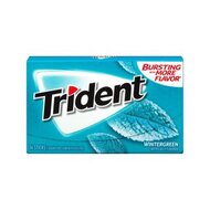 Trident - Wintergreen - 1 x 14 Stück