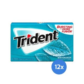 Trident - Wintergreen - 12 x 14 Stck