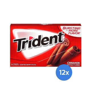 Trident - Cinnamon - 12 x 14 Stück
