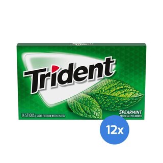 Trident - Spearmint - 12 x14 Stck