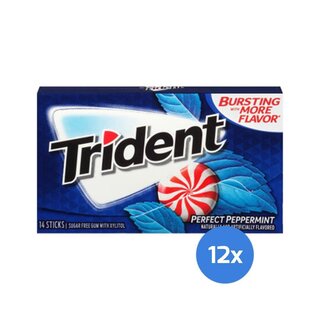 Trident - Perfect Peppermint - 12 x 14 Stück