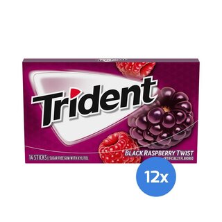 Trident - Black Raspberry Twist - 12 x 14 Stück