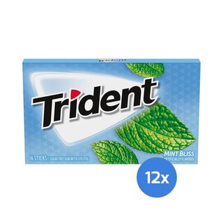 Trident - Mint Bliss - 12 x 14 Stück
